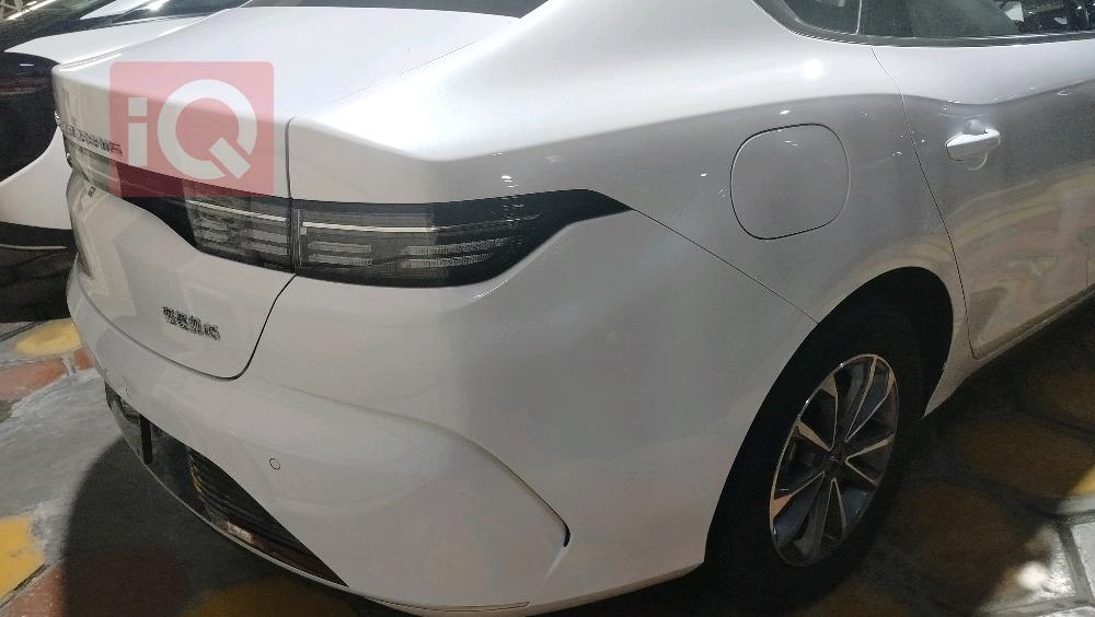 بي واي دي ديستروير 05